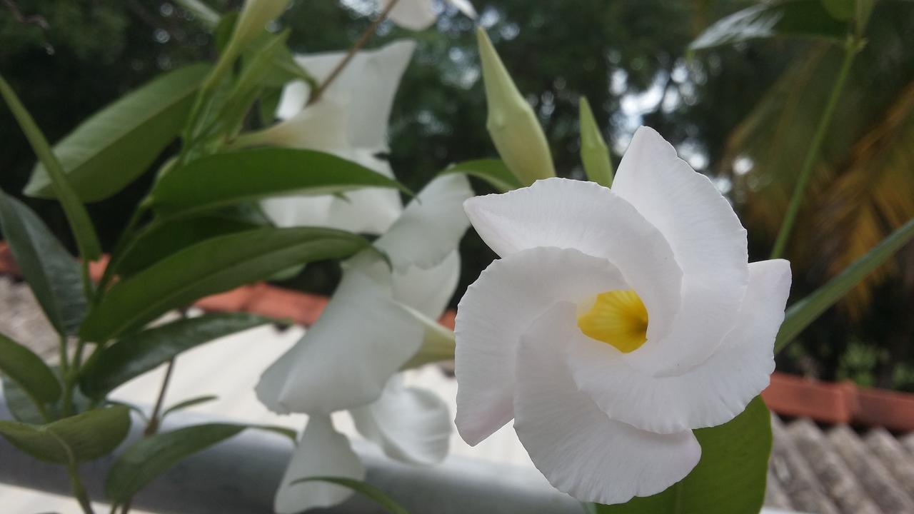 Rich Resort & Restaurant Anuradhapura Buitenkant foto